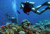 Scuba diving in Hurghada