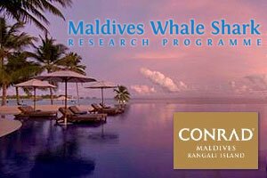 Conrad Maldives Launches Snorkelling with Scientists Trips in May and June